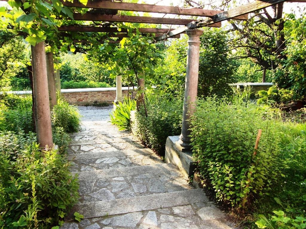 Hazelnut Valley Guarene Rom bilde